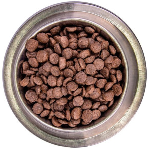 Беззерновой корм Monge Dog BWild GRAIN FREE для собак, ягненок/картофель, 2,5 кг Беззерновой корм Monge Dog BWild GRAIN FREE для собак, ягненок/картофель, 2,5 кг