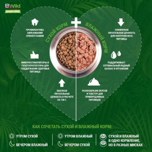 Беззерновой корм Monge Dog BWild GRAIN FREE для собак, ягненок/картофель, 2,5 кг Беззерновой корм Monge Dog BWild GRAIN FREE для собак, ягненок/картофель, 2,5 кг