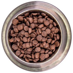 Беззерновой корм Monge Dog BWild GRAIN FREE для собак, ягненок/картофель/горох, 12 кг Беззерновой корм Monge Dog BWild GRAIN FREE для собак, ягненок/картофель/горох, 12 кг