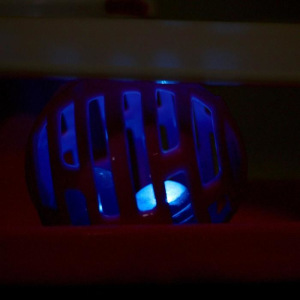 Игровой комплекс для кошек с большой мышью 7,5 см и шариком, 20 х 20 х 30 см, микс цветов Игровой комплекс для кошек с большой мышью 7,5 см и шариком, 20 х 20 х 30 см, микс цветов