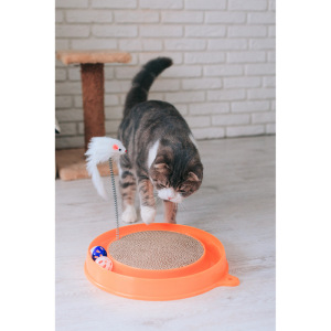 Игровой комплекс для кошек с гофрокогтеточкой, мышью на пружине и 2 шариками, микс Игровой комплекс для кошек с гофрокогтеточкой, мышью на пружине и 2 шариками, микс