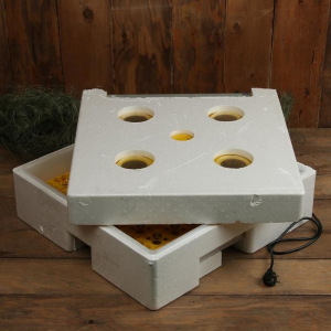 Инкубатор бытовой, на 63 яйца, автоматический переворот, 220 В, с кормушкой, поилкой, овоскопом, NIKA Инкубатор бытовой, на 63 яйца, автоматический переворот, 220 В, с кормушкой, поилкой, овоскопом, NIKA