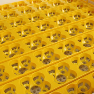 Инкубатор бытовой, на 63 яйца, автоматический переворот, 220 В, с кормушкой, поилкой, овоскопом, NIKA Инкубатор бытовой, на 63 яйца, автоматический переворот, 220 В, с кормушкой, поилкой, овоскопом, NIKA