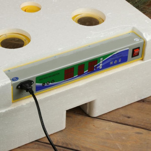 Инкубатор бытовой, на 63 яйца, автоматический переворот, 220 В, с кормушкой, поилкой, овоскопом, NIKA Инкубатор бытовой, на 63 яйца, автоматический переворот, 220 В, с кормушкой, поилкой, овоскопом, NIKA