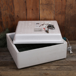 Инкубатор бытовой, на 63 яйца, автоматический переворот, цифровой термометр, 220 В/12 B Инкубатор бытовой, на 63 яйца, автоматический переворот, цифровой термометр, 220 В/12 B