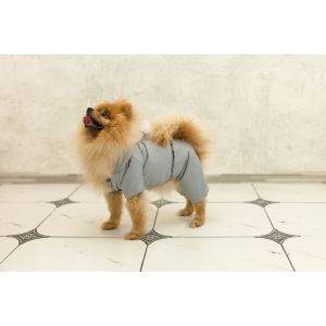 Комбинезон для собак с помпоном, размер 2XL (ДС 34-36 см, ОШ 34-36 см, ОГ 44-48 см) Комбинезон для собак с помпоном, размер 2XL (ДС 34-36 см, ОШ 34-36 см, ОГ 44-48 см)