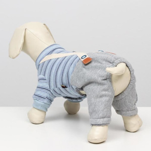 Комбинезон зимний "Малыш", размер S (ДС 24, ОШ 20-24 ОГ 29-36), серо-голубой Комбинезон зимний "Малыш", размер S (ДС 24, ОШ 20-24 ОГ 29-36), серо-голубой