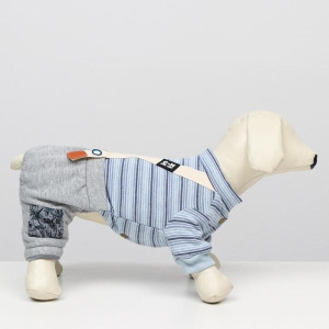 Комбинезон зимний "Малыш", размер S (ДС 24, ОШ 20-24 ОГ 29-36), серо-голубой Комбинезон зимний "Малыш", размер S (ДС 24, ОШ 20-24 ОГ 29-36), серо-голубой