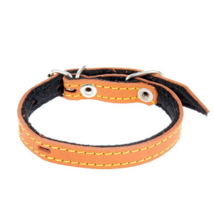 Комплект из цветной кожи для щенков Зооник, ошейник 35 х 1,5 см, поводок 130 х 1 см, микс Комплект из цветной кожи для щенков Зооник, ошейник 35 х 1,5 см, поводок 130 х 1 см, микс