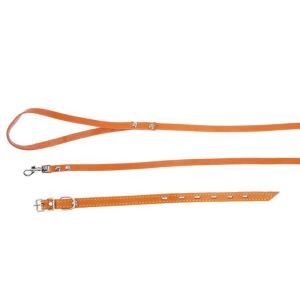 Комплект из цветной кожи для щенков Зооник, ошейник 35 х 1,5 см, поводок 130 х 1 см, микс Комплект из цветной кожи для щенков Зооник, ошейник 35 х 1,5 см, поводок 130 х 1 см, микс