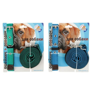 Комплект капроновый Зооник, ошейник 37-51 х 2,5 см и поводок 2 м микс цветов Комплект капроновый Зооник, ошейник 37-51 х 2,5 см и поводок 2 м микс цветов