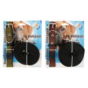 Комплект капроновый Зооник, ошейник 38-51 х 2,5 см и поводок 3 м, микс Комплект капроновый Зооник, ошейник 38-51 х 2,5 см и поводок 3 м, микс