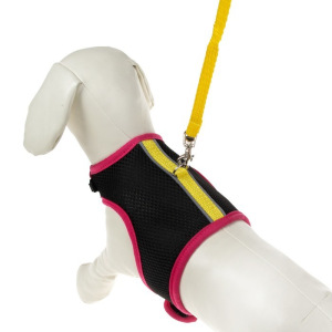 Комплект «Зооник №3»: шлейка из сетки с поводком, стропа 10 мм, микс Комплект «Зооник №3»: шлейка из сетки с поводком, стропа 10 мм, микс