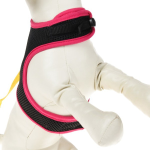 Комплект «Зооник №3»: шлейка из сетки с поводком, стропа 10 мм, микс Комплект «Зооник №3»: шлейка из сетки с поводком, стропа 10 мм, микс