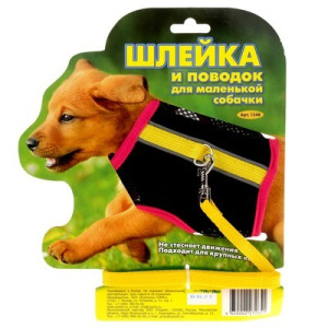 Комплект «Зооник №3»: шлейка из сетки с поводком, стропа 10 мм, микс Комплект «Зооник №3»: шлейка из сетки с поводком, стропа 10 мм, микс