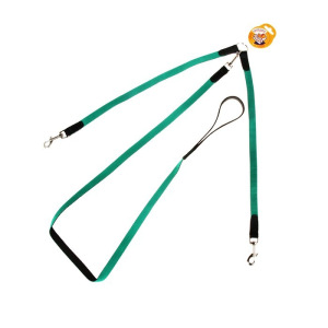 Комплект «Зооник»: поводок 1.5 м с двойной своркой, капроновая лента, 20 мм, микс Комплект «Зооник»: поводок 1.5 м с двойной своркой, капроновая лента, 20 мм, микс