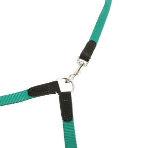 Комплект «Зооник»: поводок 1.5 м с двойной своркой, капроновая лента, 20 мм, микс Комплект «Зооник»: поводок 1.5 м с двойной своркой, капроновая лента, 20 мм, микс