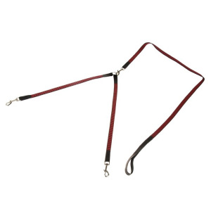 Комплект «Зооник»: поводок 1.5 м с двойной своркой, капроновая лента, 20 мм, микс Комплект «Зооник»: поводок 1.5 м с двойной своркой, капроновая лента, 20 мм, микс