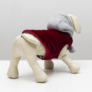 Куртка зимняя, S (ОШ 21-25, ОГ 29-36, ДС 23 см), красная Куртка зимняя, S (ОШ 21-25, ОГ 29-36, ДС 23 см), красная