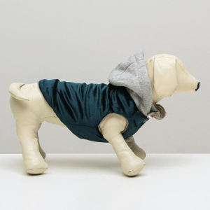 Куртка зимняя, S (ОШ 21-25, ОГ 29-36, ДС 23 см), синия Куртка зимняя, S (ОШ 21-25, ОГ 29-36, ДС 23 см), синия