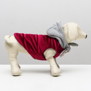 Куртка зимняя, XS (ОШ 18-22,ОГ 27-32,ДС 20 см), красная Куртка зимняя, XS (ОШ 18-22,ОГ 27-32,ДС 20 см), красная