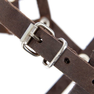 Намордник кожаный «Зооник» №4 (немецкая овчарка), длина по носу 9,5 см, обхват морды 31 см, микс Намордник кожаный «Зооник» №4 (немецкая овчарка), длина по носу 9,5 см, обхват морды 31 см, микс