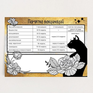 Обложка для ветеринарного паспорта и памятка для кошки Обложка для ветеринарного паспорта и памятка для кошки