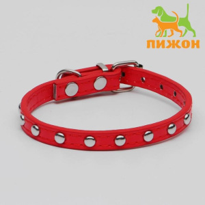 Ошейник клёпаный из искусственной кожи, 30,5 х 1 см, микс цветов Ошейник клёпаный из искусственной кожи, 30,5 х 1 см, микс цветов
