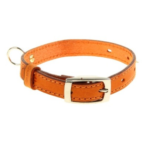 Ошейник кожаный, однослойный, 43,5 х 1,8 см, с выносным кольцом, безразмерный, микс цветов Ошейник кожаный, однослойный, 43,5 х 1,8 см, с выносным кольцом, безразмерный, микс цветов