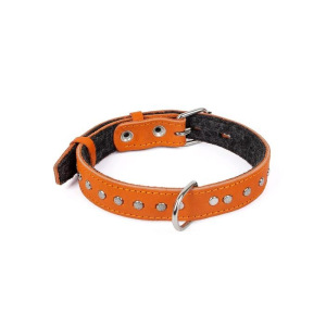 Ошейник кожаный с подкладом украшенный "Зооник", ОШ 25-52 х 2,5 см, микс цветов Ошейник кожаный с подкладом украшенный "Зооник", ОШ 25-52 х 2,5 см, микс цветов