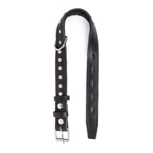 Ошейник кожаный с подкладом украшенный "Зооник", ОШ 25-52 х 2,5 см, микс цветов Ошейник кожаный с подкладом украшенный "Зооник", ОШ 25-52 х 2,5 см, микс цветов