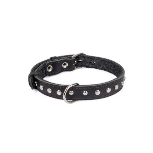 Ошейник кожаный с подкладом украшенный "Зооник", ОШ 25-52 х 2,5 см, микс цветов Ошейник кожаный с подкладом украшенный "Зооник", ОШ 25-52 х 2,5 см, микс цветов