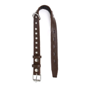 Ошейник кожаный с подкладом украшенный "Зооник", ОШ 25-52 х 2,5 см, микс цветов Ошейник кожаный с подкладом украшенный "Зооник", ОШ 25-52 х 2,5 см, микс цветов