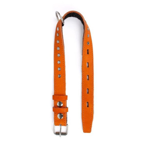 Ошейник кожаный с подкладом украшенный "Зооник", ОШ 25-52 х 2,5 см, микс цветов Ошейник кожаный с подкладом украшенный "Зооник", ОШ 25-52 х 2,5 см, микс цветов