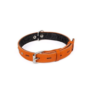 Ошейник кожаный с подкладом украшенный "Зооник", ОШ 25-52 х 2,5 см, микс цветов Ошейник кожаный с подкладом украшенный "Зооник", ОШ 25-52 х 2,5 см, микс цветов