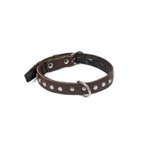 Ошейник кожаный с подкладом украшенный "Зооник", ОШ 25-52 х 2,5 см, микс цветов Ошейник кожаный с подкладом украшенный "Зооник", ОШ 25-52 х 2,5 см, микс цветов