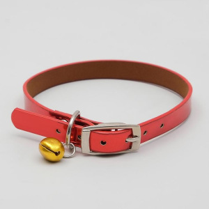 Ошейник переливающийся с бубенчиком, 31 х 1, микс цветов Ошейник переливающийся с бубенчиком, 31 х 1, микс цветов