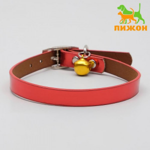 Ошейник переливающийся с бубенчиком, 31 х 1, микс цветов Ошейник переливающийся с бубенчиком, 31 х 1, микс цветов