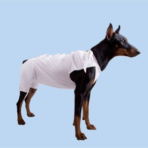 Послеоперационная попона OSSO, 1 (длина спины 18-21 см), хлопок Послеоперационная попона OSSO, 1 (длина спины 18-21 см), хлопок