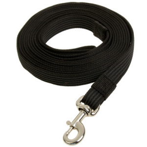 Поводок Зооник капроновый с латексной нитью и усиленным карабином, 5 м х 2,5 см, черный Поводок Зооник капроновый с латексной нитью и усиленным карабином, 5 м х 2,5 см, черный