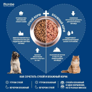 Сухой корм Monge Dog Speciality Line Monoprotein для собак, форель/рис/картофель, 12 кг Сухой корм Monge Dog Speciality Line Monoprotein для собак, форель/рис/картофель, 12 кг