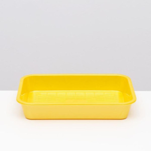 Туалет с сеткой №1 перламутровый, 36 х 26 х 6,5 см жёлтый Туалет с сеткой №1 перламутровый, 36 х 26 х 6,5 см жёлтый