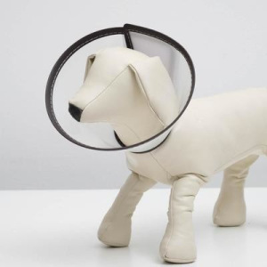 Ветеринарный воротник "Пижон Premium" №1, обхват шеи 14 см, высота 10 см Ветеринарный воротник "Пижон Premium" №1, обхват шеи 14 см, высота 10 см