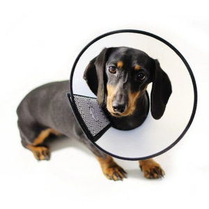 Воротник ветеринарный Triol L315-355*H145мм Воротник ветеринарный Triol L315-355*H145мм