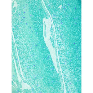 Матирующий гель для умывания Nivea, для жирной кожи, 150 мл Матирующий гель для умывания Nivea, для жирной кожи, 150 мл