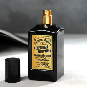 Набор: парфюм 100 мл и гель для душа 250 мл «Успешному мужчине» Набор: парфюм 100 мл и гель для душа 250 мл «Успешному мужчине»