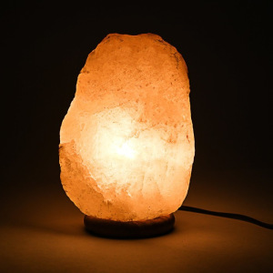 Солевая лампа Ergopower ER 502, 220 В, 15 Вт, 3-5 кг Солевая лампа Ergopower ER 502, 220 В, 15 Вт, 3-5 кг