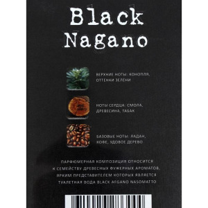 Туалетная вода мужская Black Nagano, 100 мл Туалетная вода мужская Black Nagano, 100 мл
