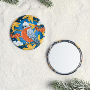 Зеркало в конверте «Снегирь» Зеркало в конверте «Снегирь»