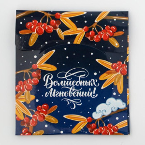 Зеркало в конверте «Снегирь» Зеркало в конверте «Снегирь»